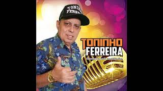 TONINHO FERREIRA  CD 2022  COMPLETO [upl. by Lordan273]