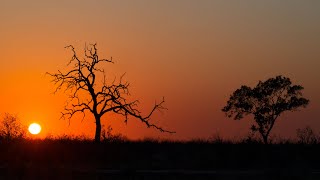 Trockenzeit im Krüger Nationalpark  Dry Season in the Kruger National Park [upl. by Heda]