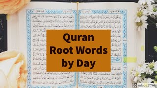 Quran Root Words 3  Quranic Words  Vocabulary of Quran [upl. by Marylin282]