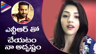 Mehrene Kaur About her Movie with NTR  Mehrene about NTR  Mehrene Interview  Telugu Filmnagar [upl. by Jara842]