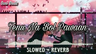 Tenu Na Bol Pawaan  Slowed  Reverb  Behen Hogi Teri  Shruti HaasanRaj Kummar  Amjad [upl. by Collyer903]