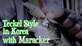 Teckel Style in Korea with Maracker [upl. by Annaigroeg]