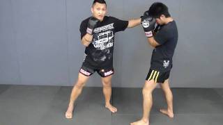 Punch Lowkick combination [upl. by Ioves]