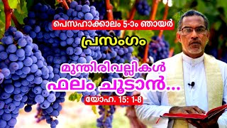 5TH SUNDAY OF EASTER B HOMILY IN MALAYALAM  WINE AND ITS BRANCHES  JN 15 18 [upl. by Nissy]