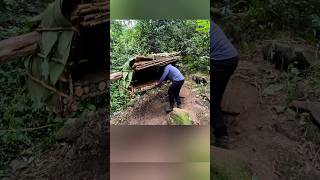 Make A Shelter Hanging On A Tree To Survive Alone In The Forest bushcraft camping camp building [upl. by Ynnej]