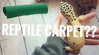 Pros and Cons of Reptile Carpet for Leopard Geckos  Leopard Gecko Substrate Series Part 1 [upl. by Reseda]