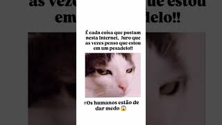 caveirinhadosucessoshortvideo memes videoviral videovideosfofosshortsshortfunnyvideos [upl. by Stewart954]