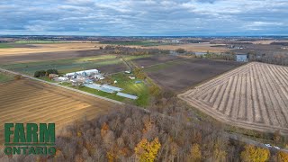 263243 Prouse Rd Mount Elgin  Farms For Sale In Ontario [upl. by Lissa401]