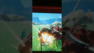 killing my11 lynel in tears of the kingdom 🔥🔥🔥🔥 [upl. by Pollack822]