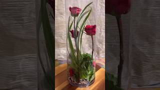 Flower arrangement ideas with roses and geranium in a tall vase 74a [upl. by Euqnimod]