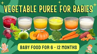 Baby Food 6 Easy Vegetable Puree Recipes for Babies  First Foods for 612 Months [upl. by Langille]