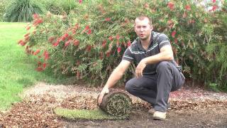 How To Lay Turf Properly  Step By Step Instruction Video [upl. by Auhel]