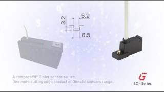 SC  Magnetic Sensors [upl. by Acirdna]