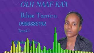 Faarfannaa afaan Oromoo haaraa Bilisee Taammiruu 1 201724 [upl. by Bresee]