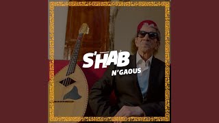 SHab Music Remix [upl. by Venetis]