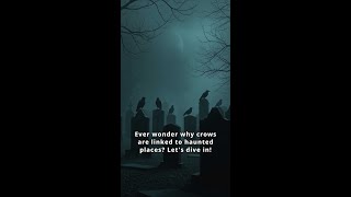 Crows and Hauntings Myths Unveiled [upl. by Moynahan]