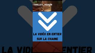 🕹️Shelley Manor  nouveau SUPER JEUX steam GRATUITS A TELECHARGER 🎮 [upl. by Yrevi]