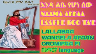 LALLABAA WANGELA preaching the gospel ስለ ቅዱስ ዳዊት የተሰበከ ስብከት፣ [upl. by Bethesde854]