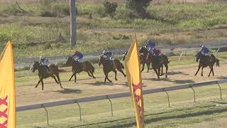 Yeppoon 20240803 Race 4 [upl. by Gwennie175]