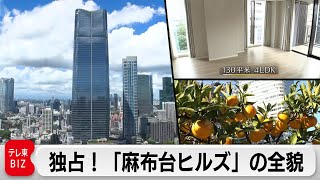 “麻布台ヒルズ”舞台裏に密着！森ビルが描く世界一の都市“東京”【ガイアの夜明け】（2023年11月24日） [upl. by Zolnay]