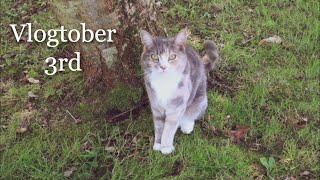 Theres Something in the Woodshed  Vlogtober 3rd 2024 [upl. by Jarrid976]