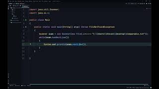 How to Scan a Text File in JavahasNextnextLine [upl. by Ailuig]