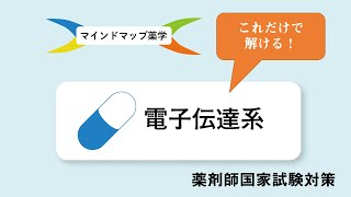 電子伝達系はこれでマスター！【薬剤師国家試験対策】 [upl. by Meurer]