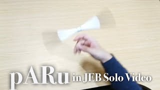 pARu in JEB｜Solo Video [upl. by Gierc495]