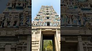 Murgan temple yt templesofindia tamil trending youtubeshorts views vlog chennai viralvideo [upl. by Anirtep]