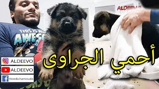 اول مرة احمي فيها الجراوي في جو ساقعة جدا [upl. by Saoj]