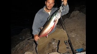 Fishing with DUO 27 Monster Bonito VS TMS 175 and Markos Vidalis [upl. by Ellynn160]