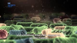 Biofinder innovative solutions for detection of biofilm and microorganisms [upl. by Lrae434]