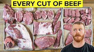 Beef 101 The Beginners Guide to Every Cut of Beef [upl. by Loats508]