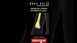 identify the lateral epicondyle 3d medicalquiz humerus neetpgpreparation mbbsanatomy [upl. by Tolkan]