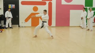 Heian Sandan Shotokan Karate Kata Training and Development  By Pavle [upl. by Airetnahs]