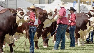 BEEF 21  Beef week at Rockhampton Australia 2021 [upl. by Figone]