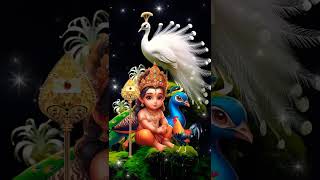 😍🥰🙏muruga murugan murugansongs god devotionalsongs shorts viral trending [upl. by Ramo]