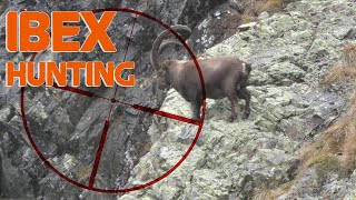 Alpine Ibex Hunting in Swizerland  2015 Chasse Approche [upl. by Nivel]