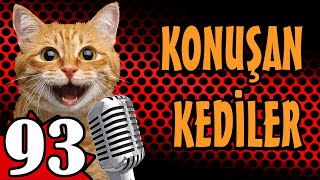 Konuşan Kediler 93  En Komik Kedi Videoları  PATİ TV [upl. by Angelia843]