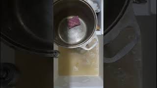 asmr washes washingdishes notalking notalkingasmr [upl. by Cirdek]