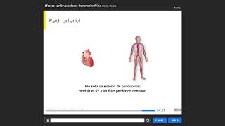 041 Efectos Cardiovasculares de Norepinefrina [upl. by Fransis]