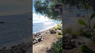 Benalmadena Coast 🇪🇦  amazing chillout spot  October 2024  Malaga  Spain  4K [upl. by Ydnir]