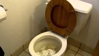 PlungeMAX  No Mess Toilet Plunger  Maximum Performance Test  Severe Clog [upl. by Natsirc885]