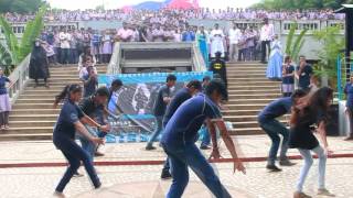 ANDHRA LOYOLA COLLEGEBRIO FLASHAnifest2016FLASH MOB [upl. by Felise53]