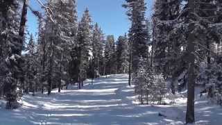 Cross country skiing  Engadin St Moritz Pontresina Samedan [upl. by Ydac]