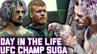 UFC CHAMPS DAY IN THE LIFE Suga Seans Fight Camp UFC 299 vs Marlon Chito Vera [upl. by Itraa]