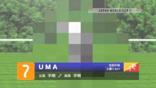 JAPAN WORLD CUP 3 出走馬紹介 UMAウーマ [upl. by Eteragram]