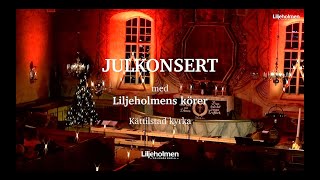 Julkonsert 2023 med Liljeholmens folkhögskola [upl. by Atnoid]