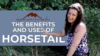 The Benefits and Uses of Horesetail  Featuring Shana Lipner Grover [upl. by Joelle290]