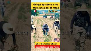 Gringo Agradece a Méxicanos🇲🇽🇺🇸 parati shorts shortsfeed shortvideo mexican fyp mexico usa [upl. by Bonaparte173]